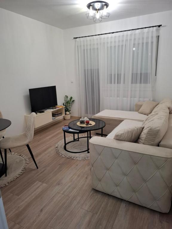 Citrin, Banja Koviljača