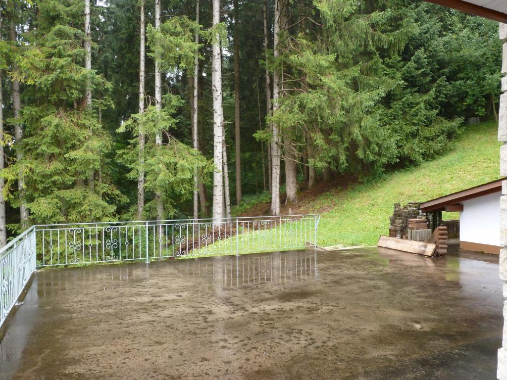 Alpenrosli photo