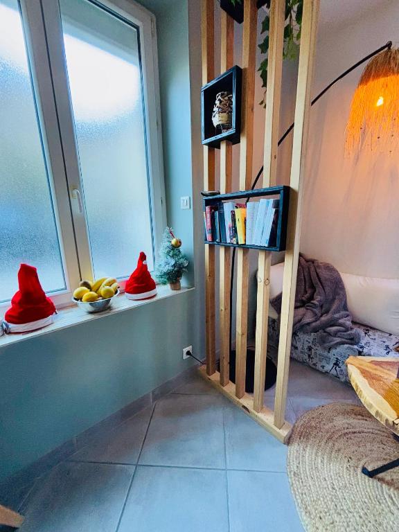 La coulée verte - superbe duplex climatisé - jardin - classé 3 étoiles - 5