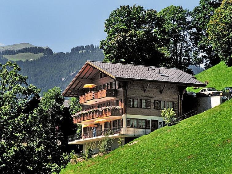 Apartment Aphrodite West magnificent Eiger view - 5
