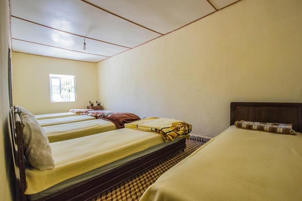 L île de caroubier, Taounate