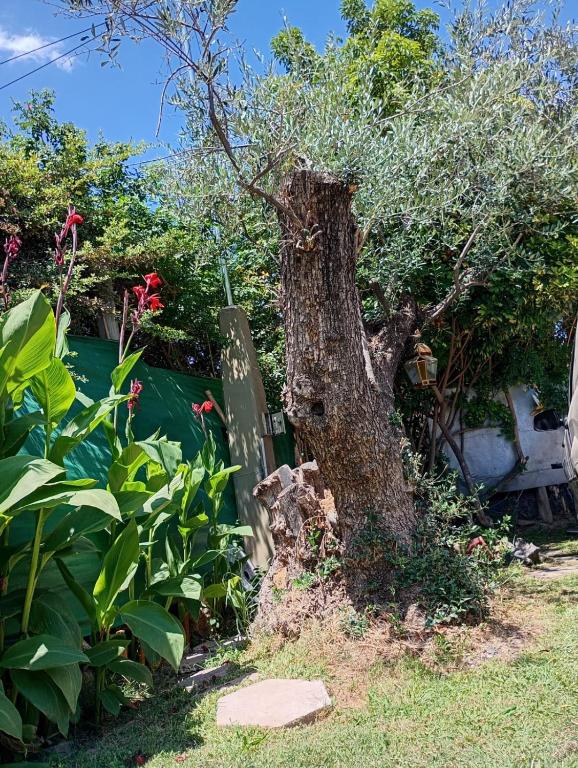 Palacio de las flores - 5