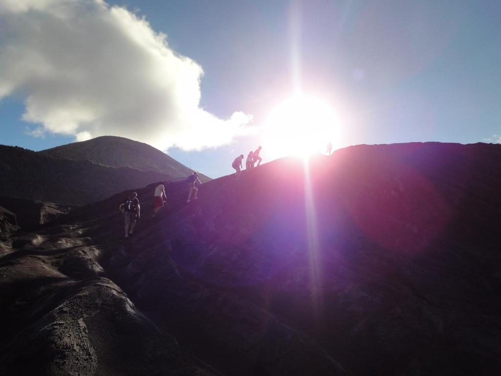 Közeli látványosságok