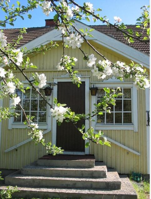 Ilola Maatilamatkailu photo