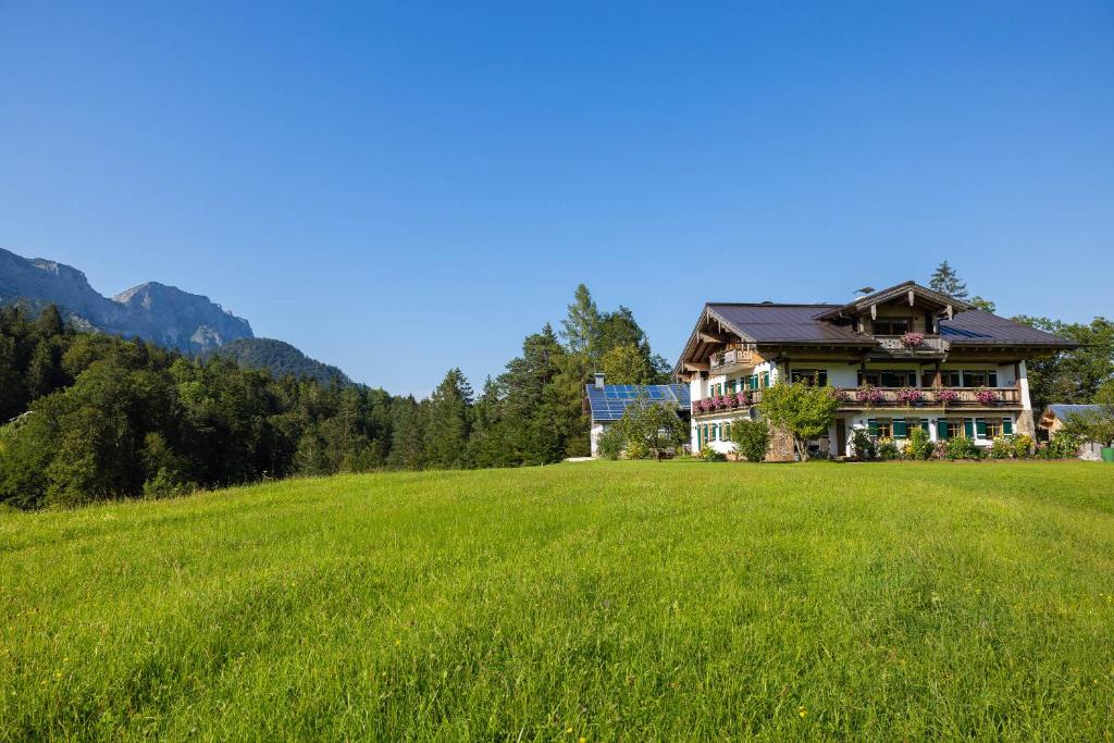 Braunlehen Walch - 5
