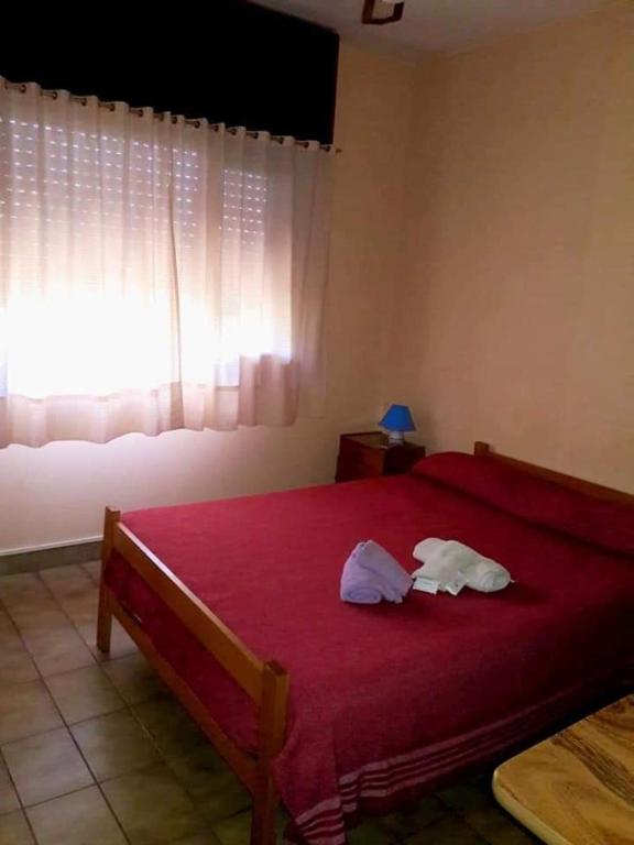 Hotel New SAN MARCOS - 5