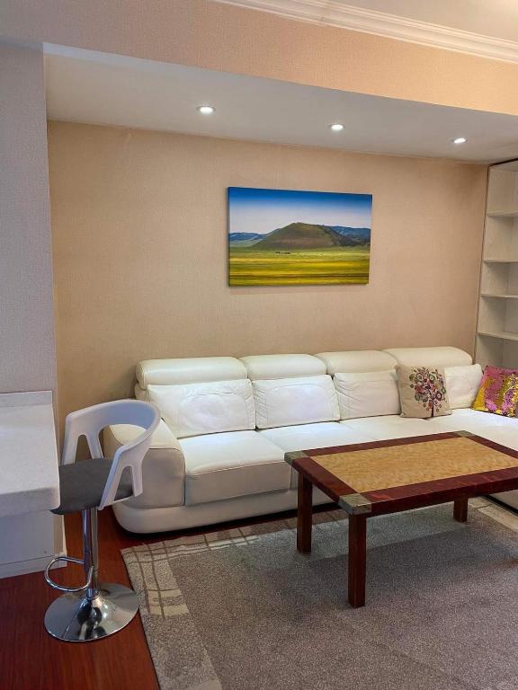 TP Central comfort Apartment 1 bedroom, Ulaanbaatar