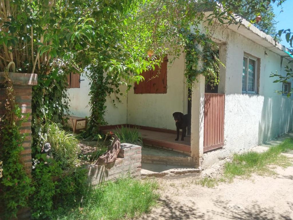 Casa jazmines - 3