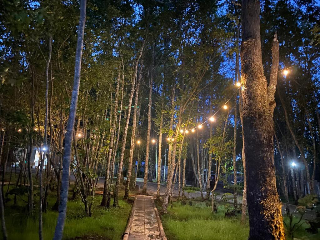Boker Tov Pucon - 3