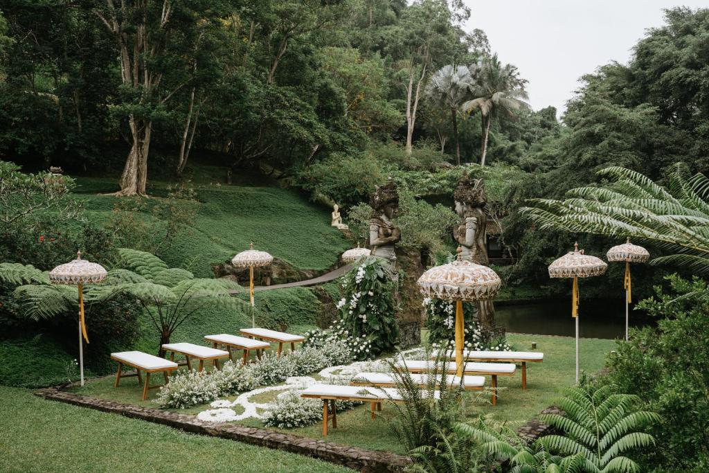 Jardí