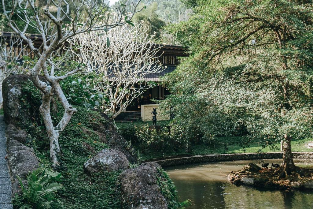 Jardí