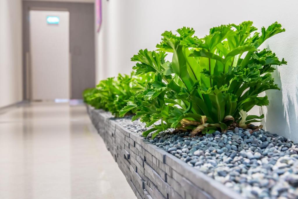 Lobby, Summer View Hotel in Singapore