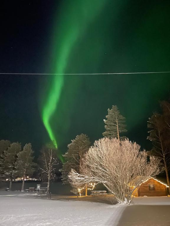 Napapiirin Eräkartano, Pello