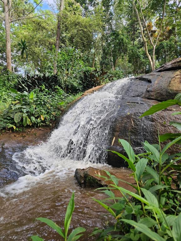 周辺観光スポット