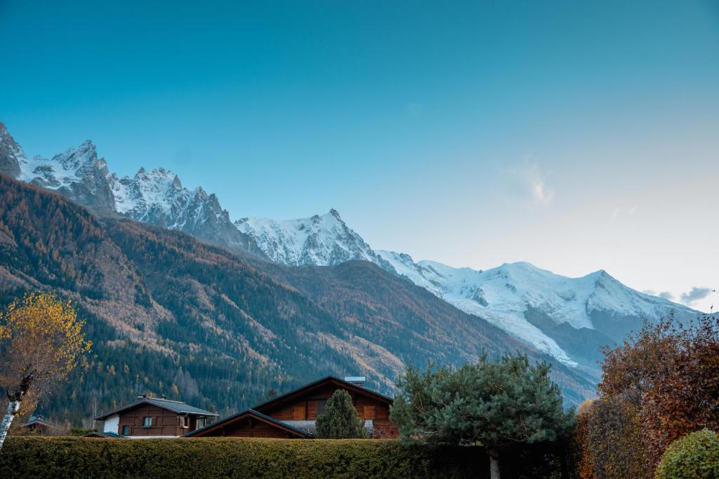 Chalet la Pagode, vue Mont-Blanc et jardin privé - 2