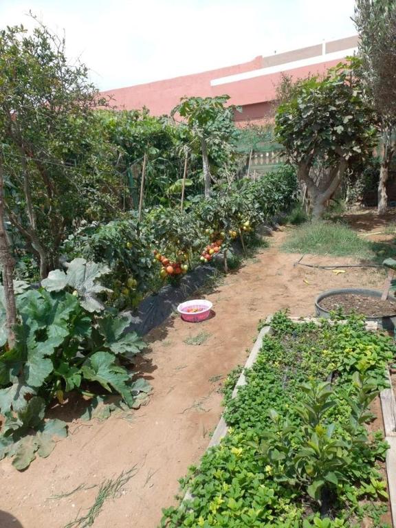 budget friendly space, Agádir