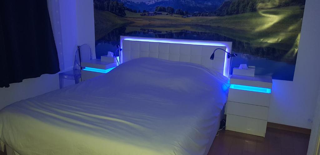 Sunshine in Cannes, Cannes