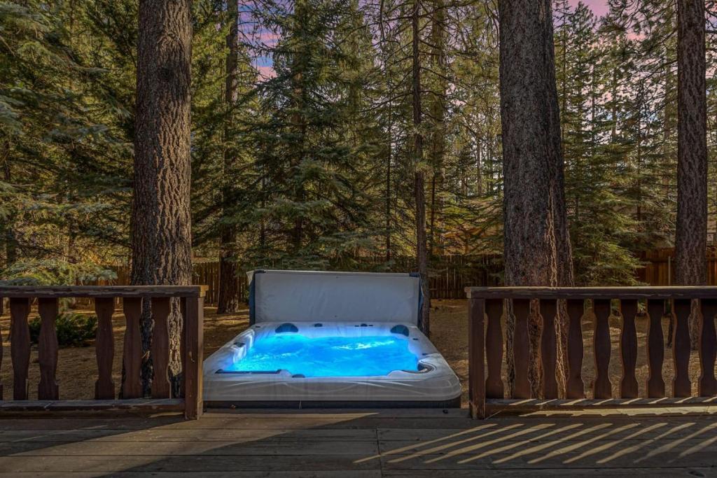 Nest and Needles, Big Bear Lake