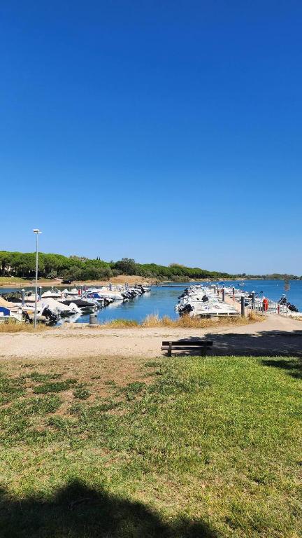 Ponant La Grande Motte Cosy Studio 4 pers Parking,Clim,piscine, Golf, Plage - 4