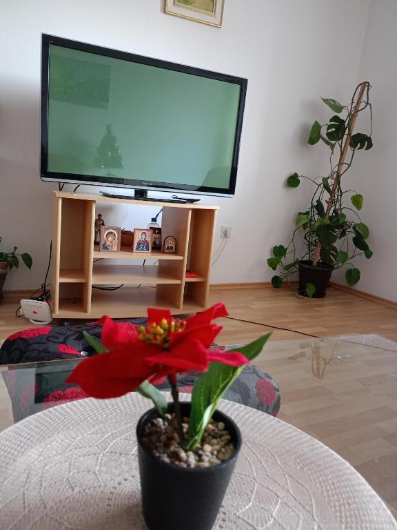 Kerkira Apartment Pale - 3