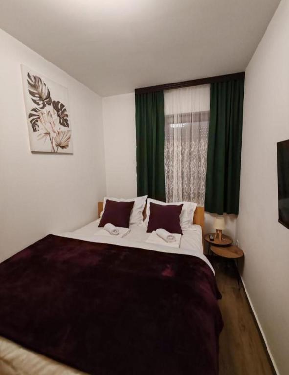Apartman MPS Kopaonik-Free Spa - 3