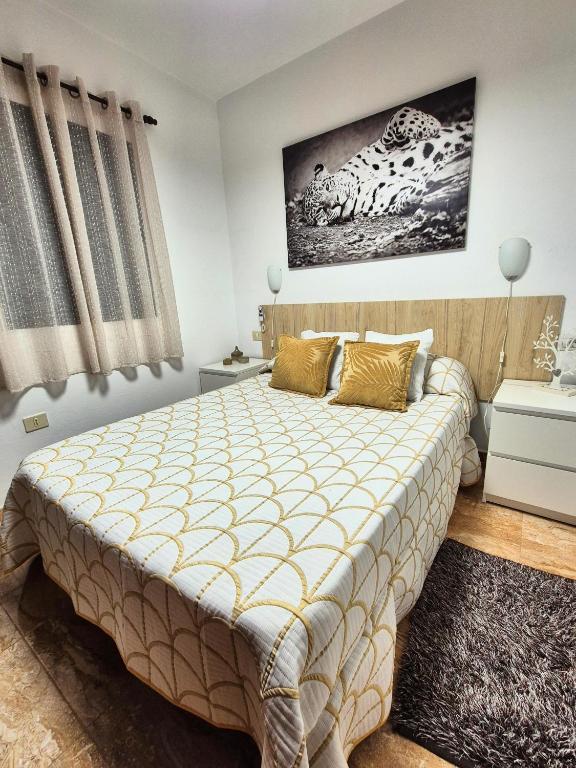 Awesome Apartment - 3