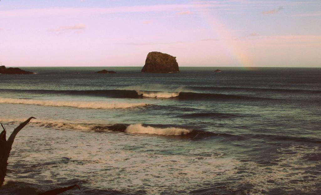 Madeira Surf Camp photo