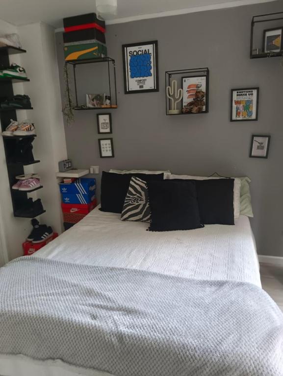 VIVIR EN SANTIAGO de un dormitorio - 3