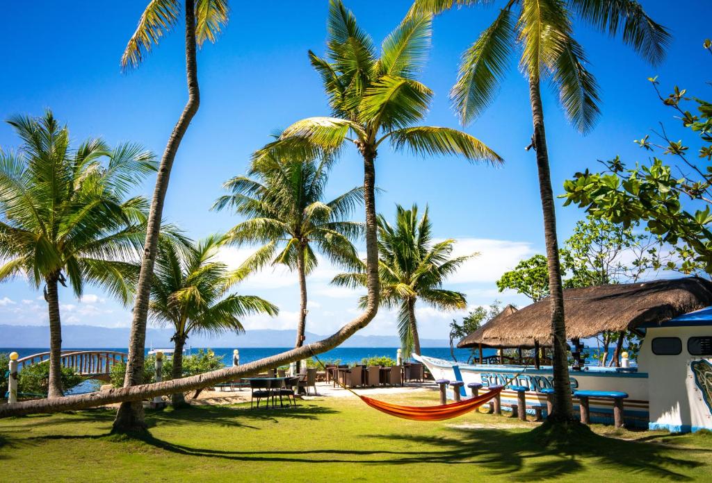 Polaris Beach and Dive Resort Inc, Loon