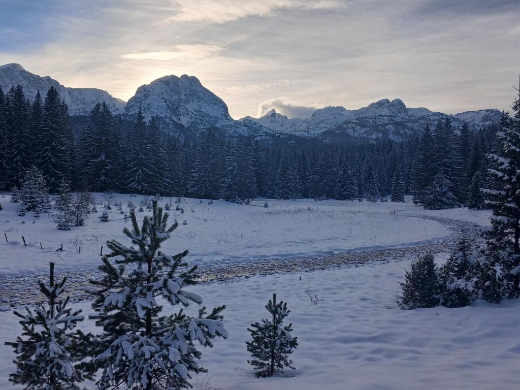 Apartments-Rooms Stara Varos - 3