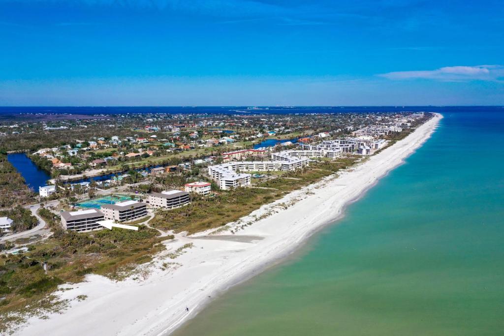 Sanddollar #A202, Ybel