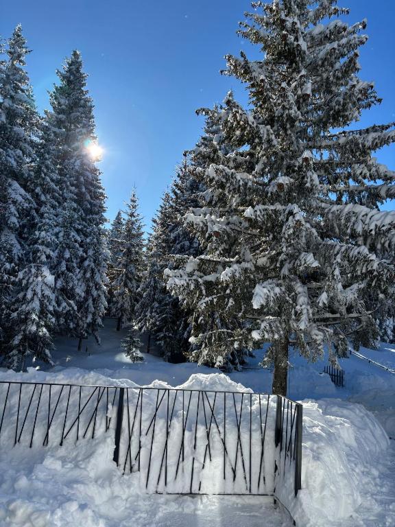 Harmony Peak Jahorina, Jahorina