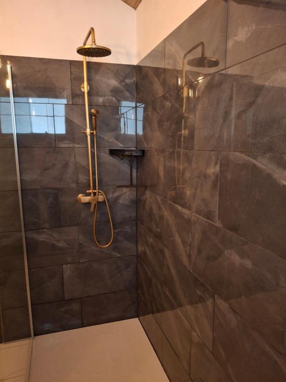 Chalet Catton Four bedroom appartement near Bad Kleinkirchheim - 5