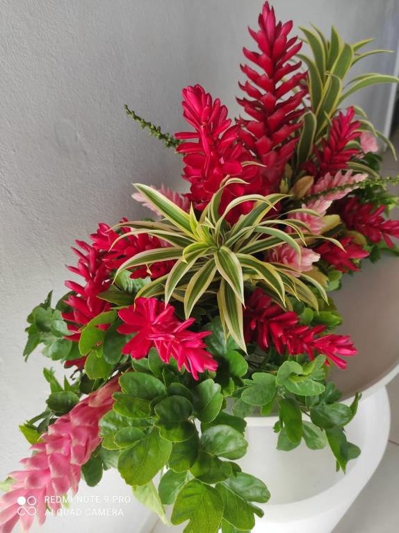 Espace Nature 97115, Sainte-Rose