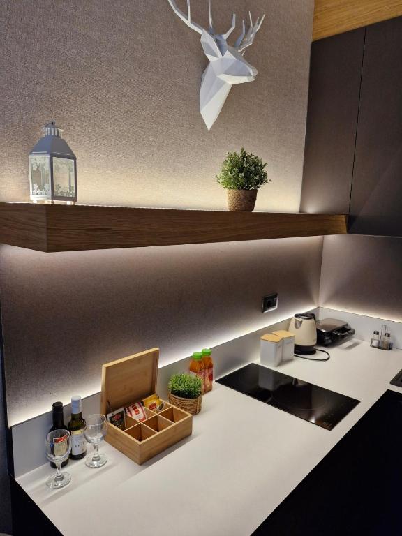 WILD BEAUTY Apartment-Modern mountain 2 - 4