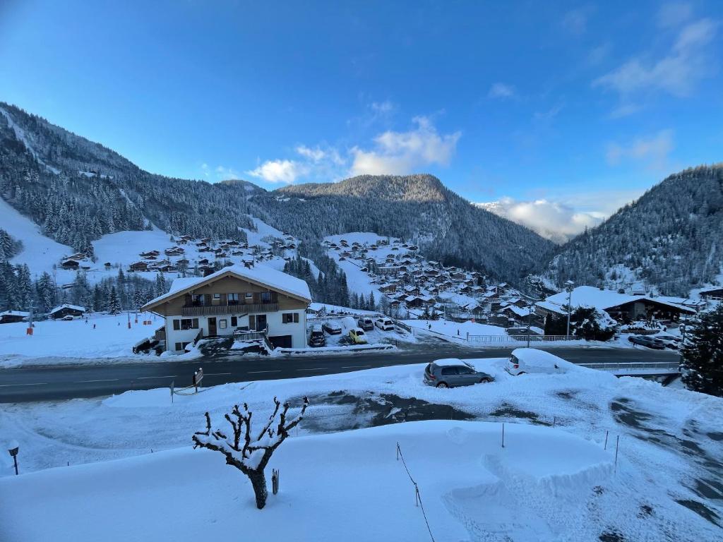GROTTE AUX FEES A, appartement skis aux pieds - 4