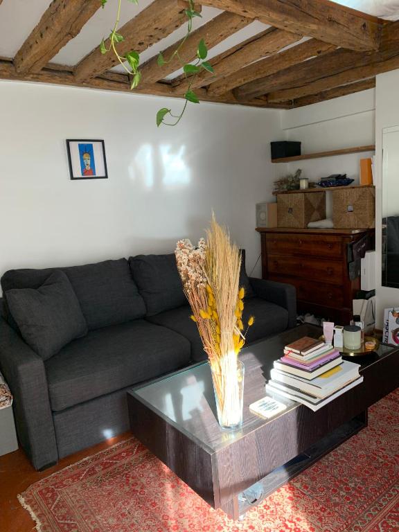 Cozy mezzanine studio in the heart of Paris - 3