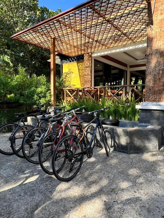 Sports and activities