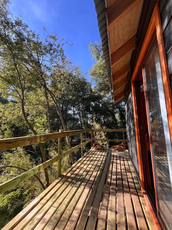 Tiny house los Lleuques - 1