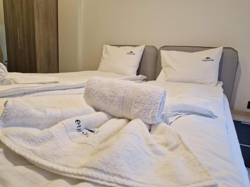 Euphoria Milmari Resort Kopaonik - 4