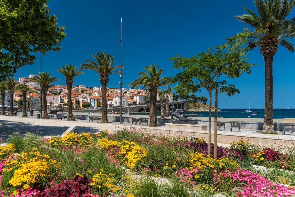 Appartement 2 pièces BANYULS SUR MER BN030-E01 - 3