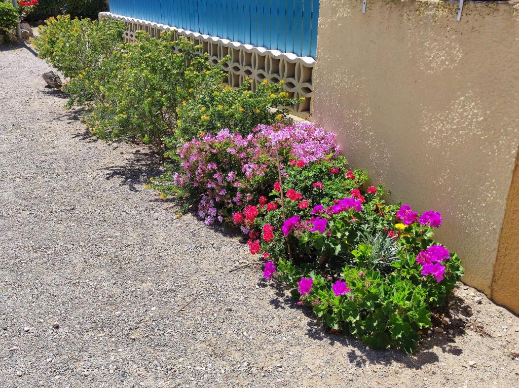 Douce Toison d'Or avec clim - 2