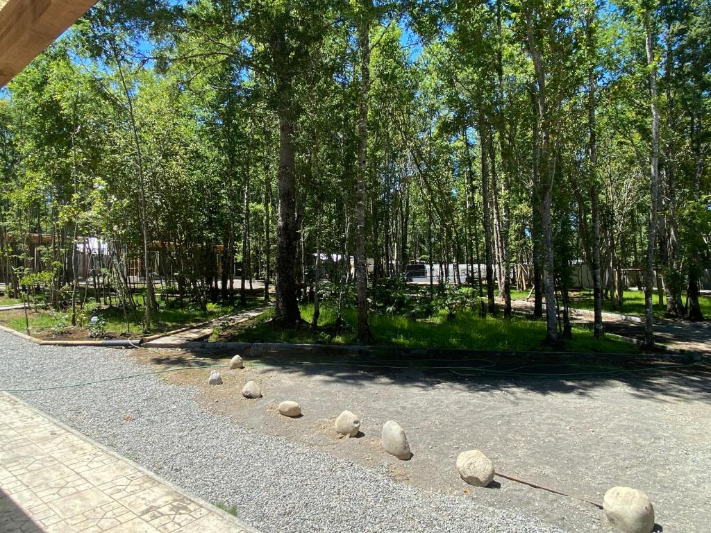 Boker Tov Pucón - 5