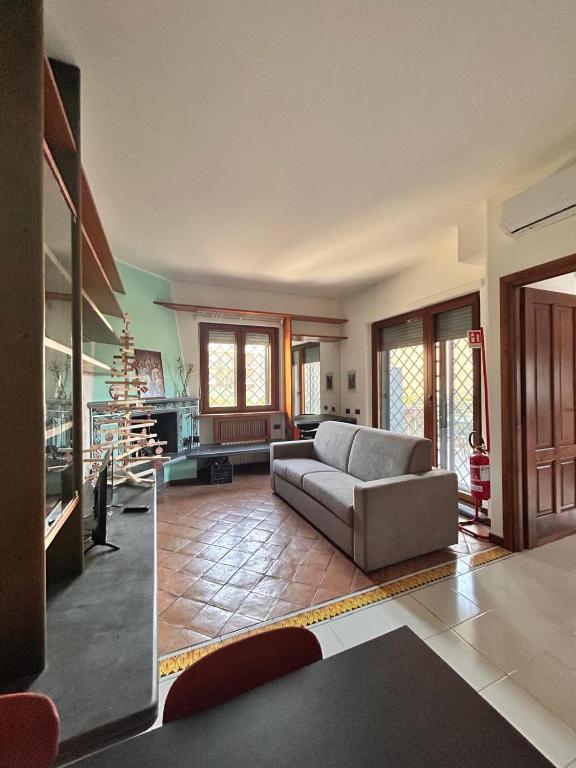 la gerbera - 5