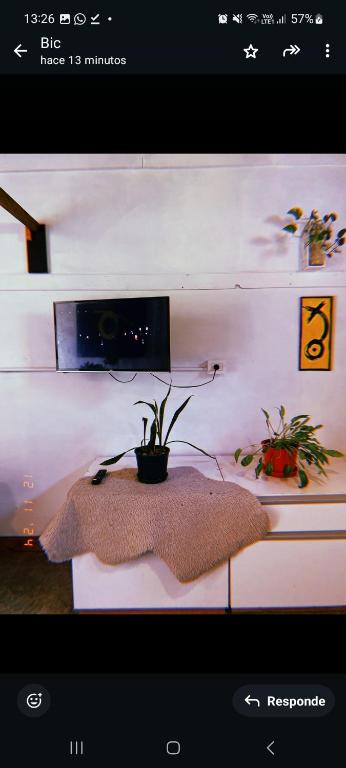 Departamento katzen - 1