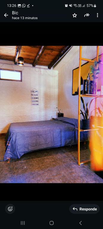 Departamento katzen - 4