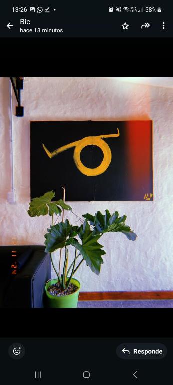 Departamento katzen - 5