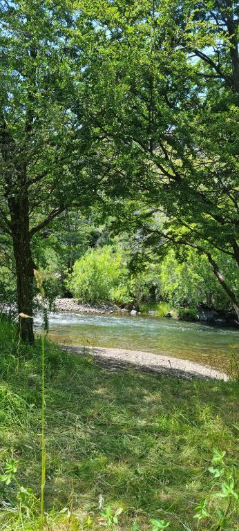 Cabañas Lucas Patagón - 5