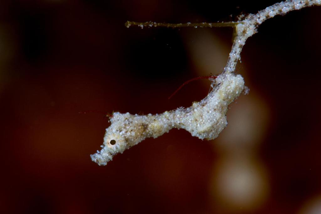 Sports and activities