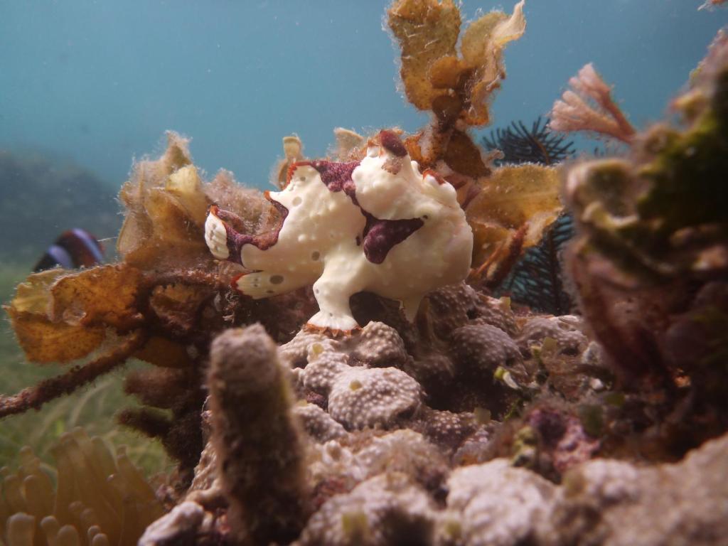 Sports and activities